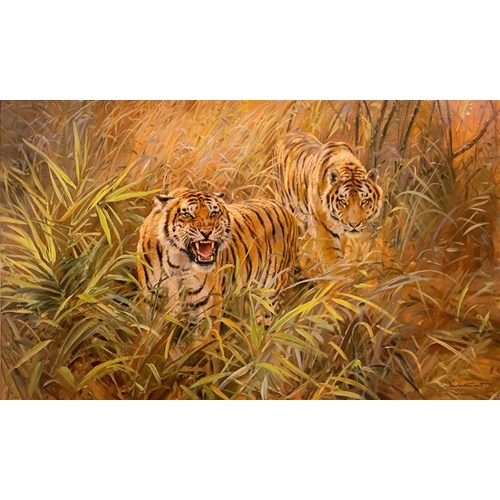 Two tigers
